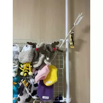 くるみ