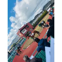 諸星 海