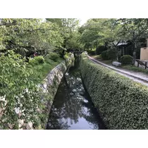 よもぎ