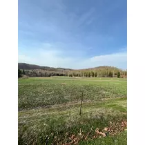 黒川 すみれ