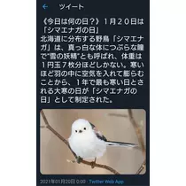 ひな