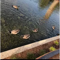 香川 ゆい