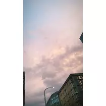 荒木 ナツミ