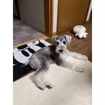 天月 あすな