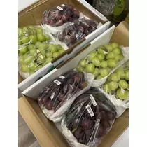 白石 愛莉