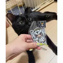 芹奈