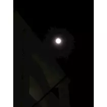 りえ