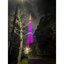 ゆま