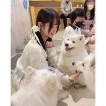ゆき