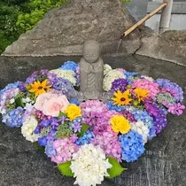 桃 かんな