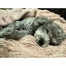 うづき ふうか