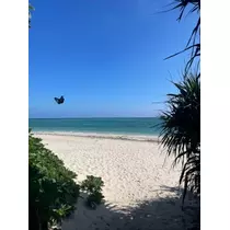 宝條 夏恋