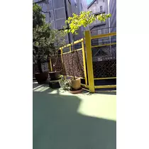 あおい