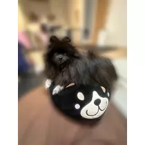ヒカリ