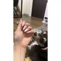 はる