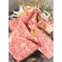 つばさ