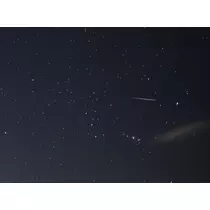 美穂