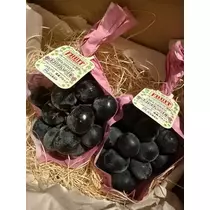 白石 愛莉