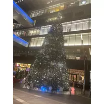 すみれ