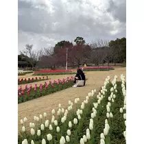 るる