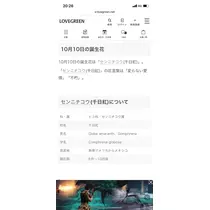 かほ
