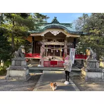 あいら