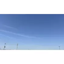 さつき