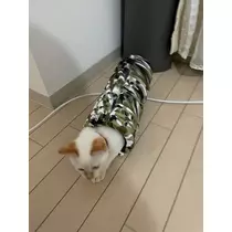足立 はな