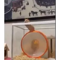 まこと