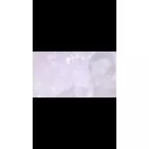 来魅 まや