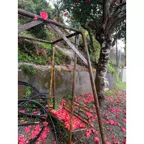 はづき