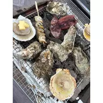 北乃 アリス