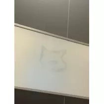 芹沢 莉瀬