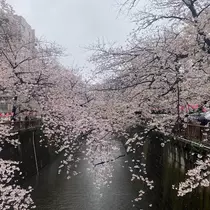 みらい
