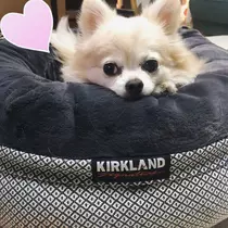 佑月 まゆ花