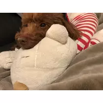 サリナ