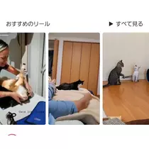 紫音