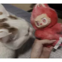 ゆに