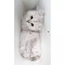 由依