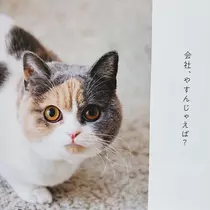 紫音