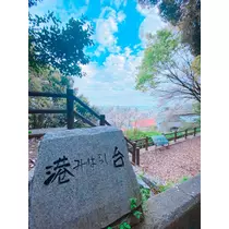 さくら