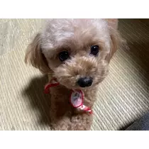 みり
