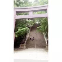 本城 椿