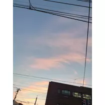 のはら かすみ