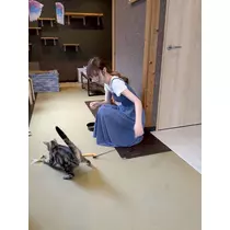 すみれ