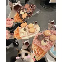 吉田 あゐる