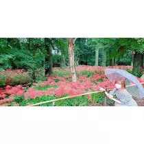 りか