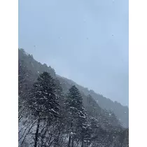 きょう