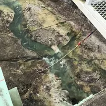 はづき