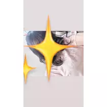 アユ